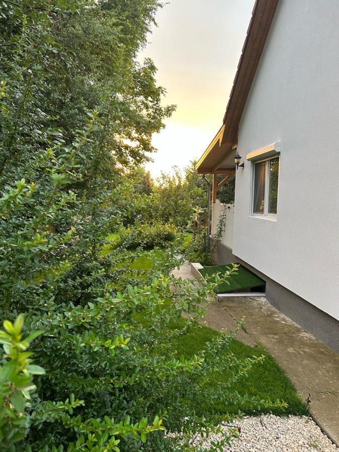Kisvirag Vendeghaz Villa Balatonvilágos Eksteriør billede