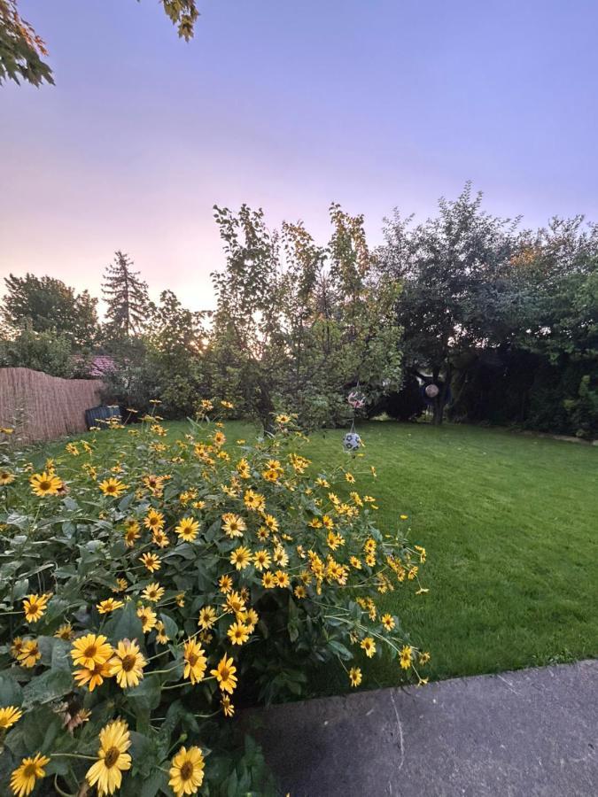 Kisvirag Vendeghaz Villa Balatonvilágos Eksteriør billede