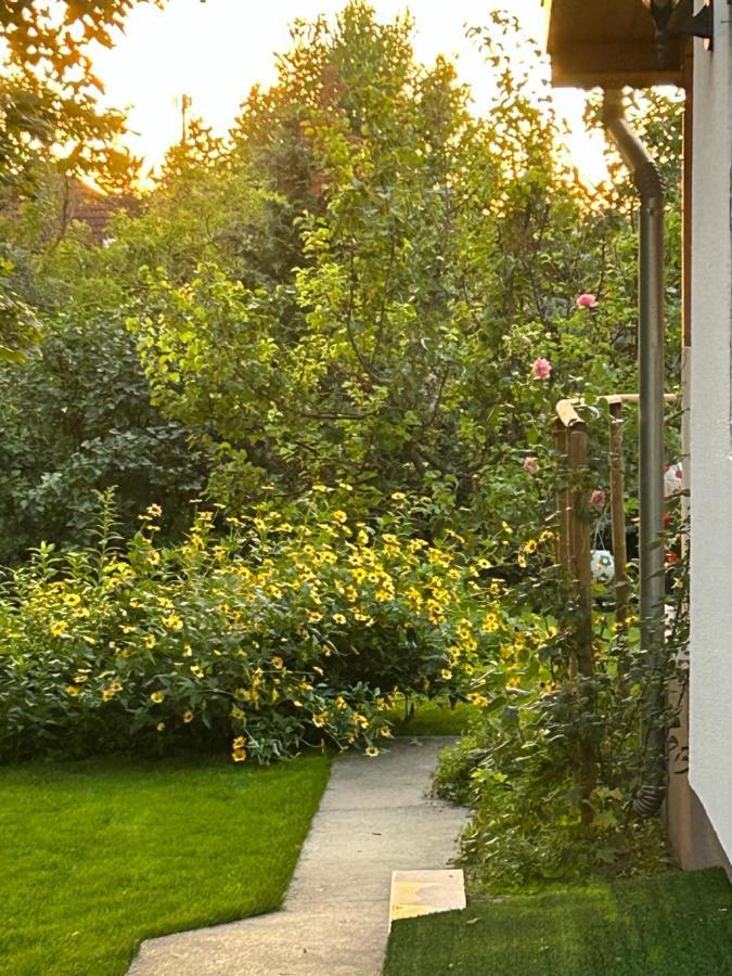 Kisvirag Vendeghaz Villa Balatonvilágos Eksteriør billede