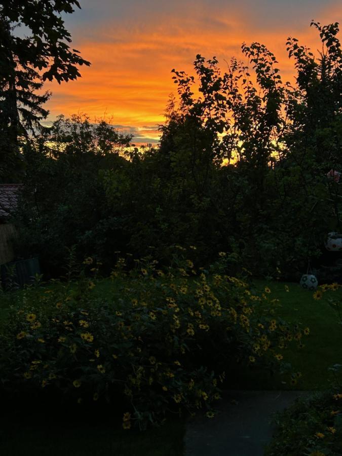 Kisvirag Vendeghaz Villa Balatonvilágos Eksteriør billede